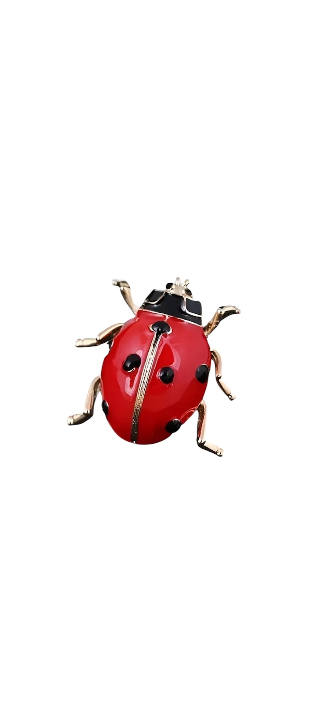 Lady Bug Brooch