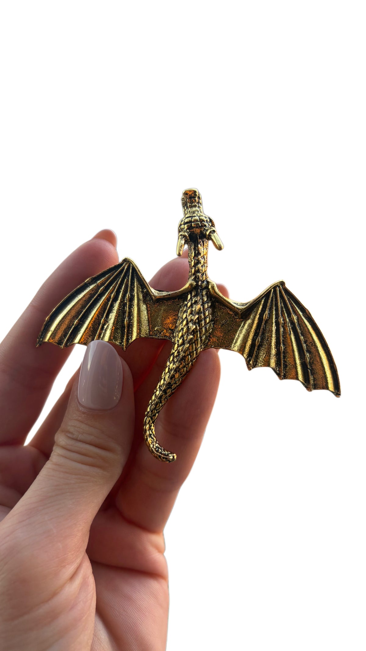 Metal Dragon Hair Clips