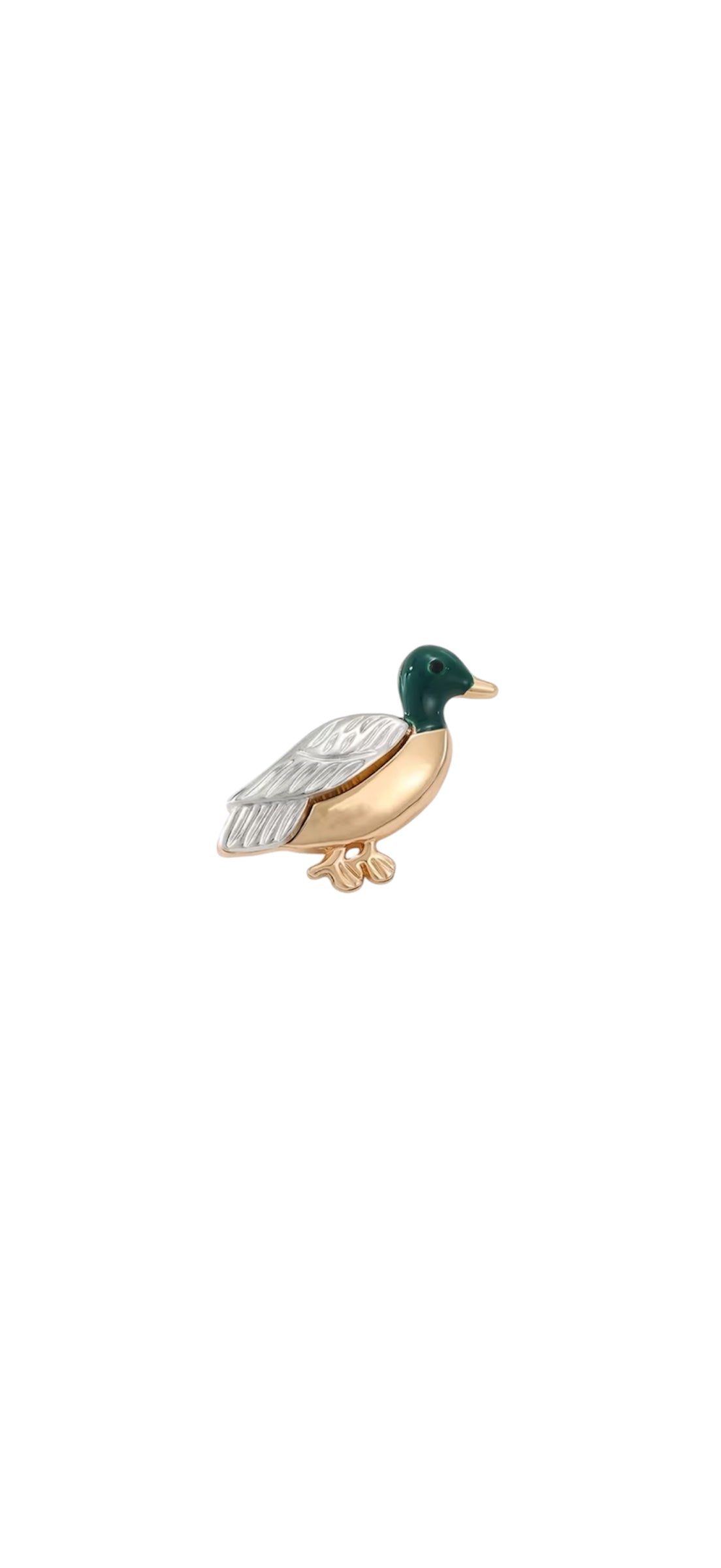 Mallard Duck