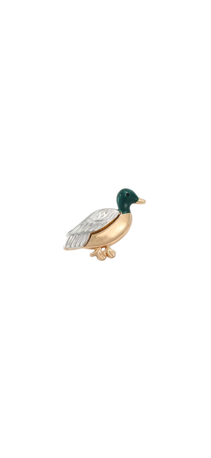 Mallard Duck