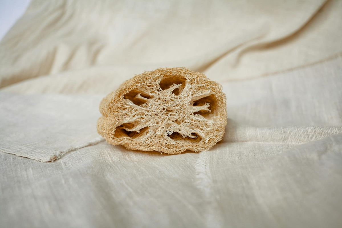 Cutted Natural Loofah Sponge image 5