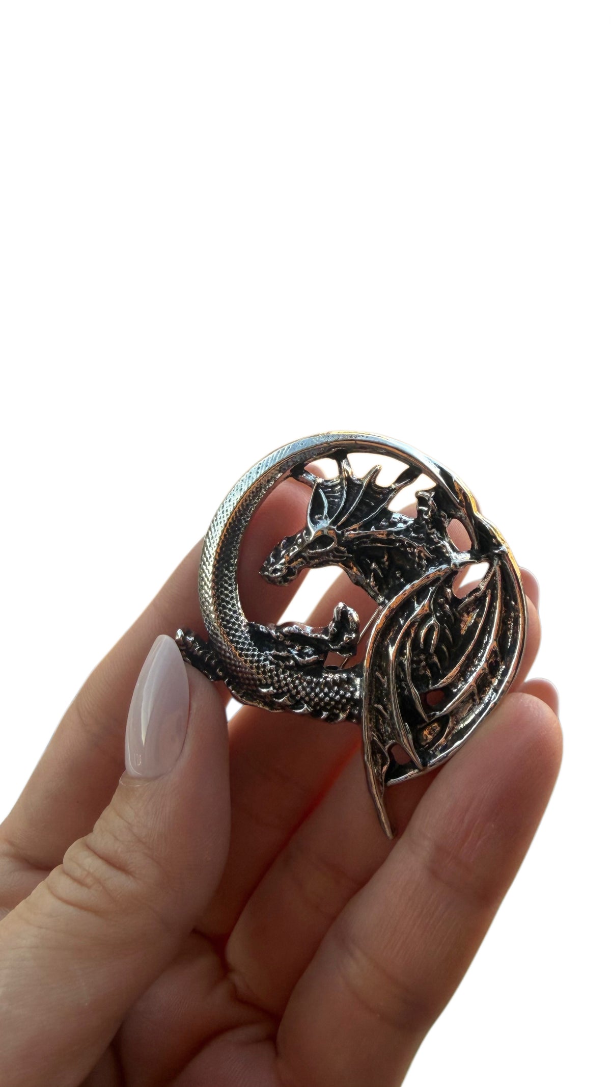 Dragon Circle Brooch