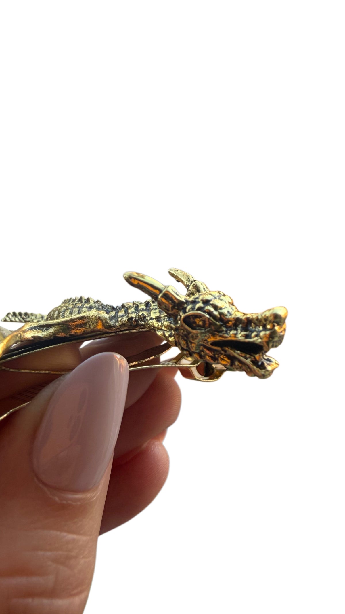Metal Dragon Hair Clips